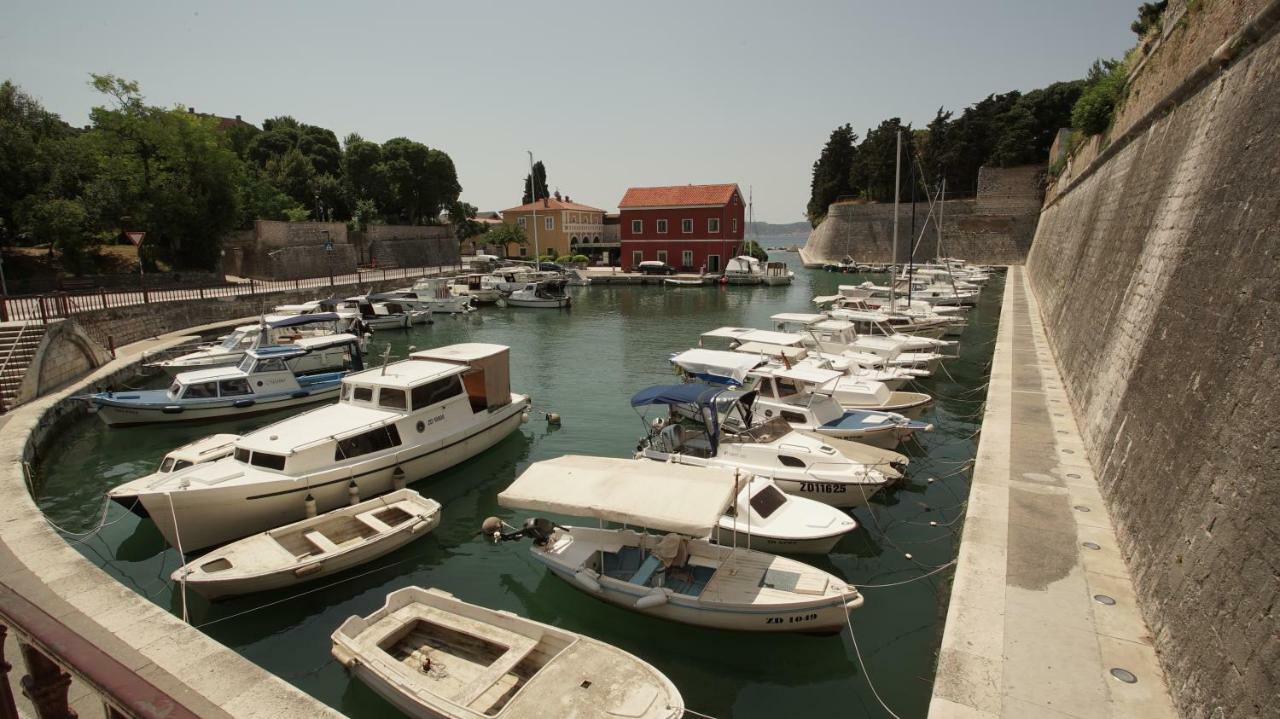 Feral Zadar